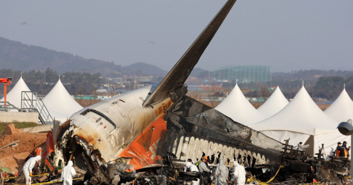 ADN de rață descoperit în motoarele avionului Jeju Air prăbușit în Coreea de Sud
