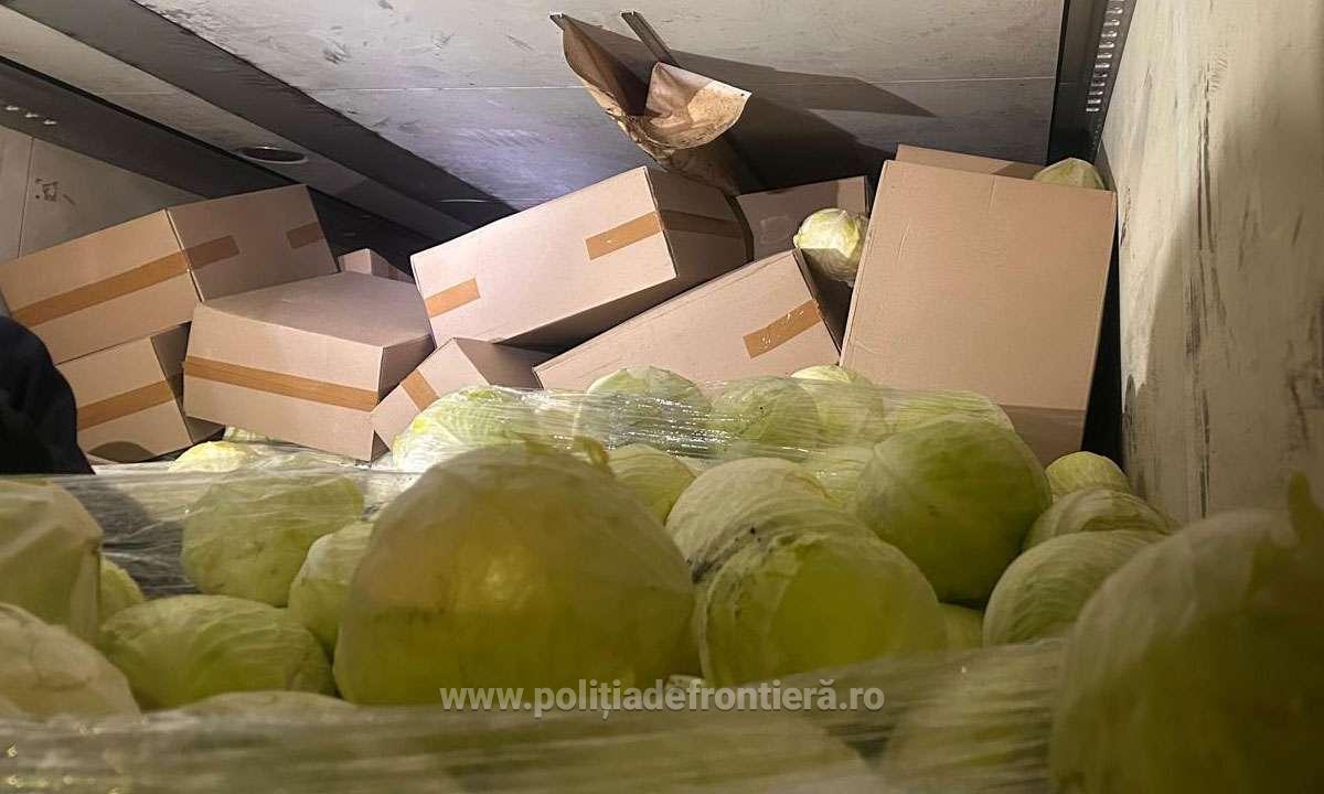 Pachete de țigări în valoare de peste 1,3 milioane de lei, descoperite de polițiști în vama Petea. Erau ascunse într-un camion cu varză