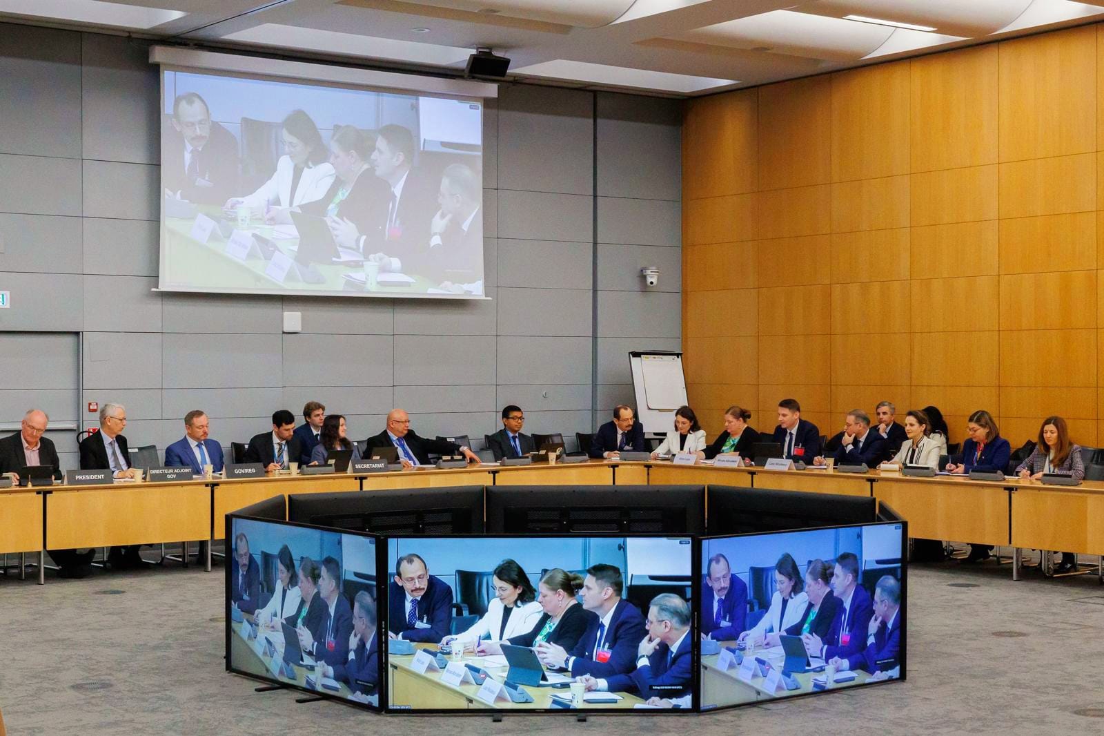 Luca Niculescu (MAE): România a mai încheiat un capitol din procesul de aderare la OCDE