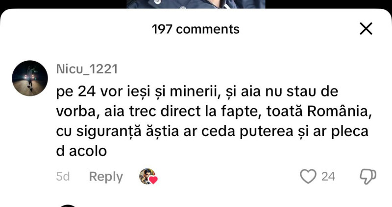 WhatsApp Image 2025-01-23 at 17.50.28