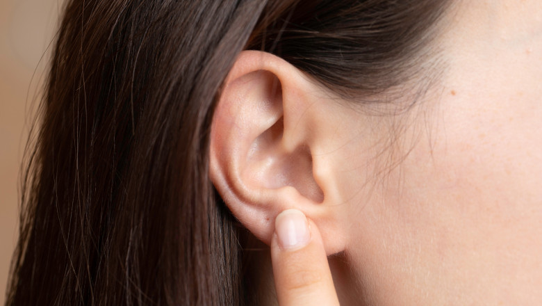 A,Closeup,And,Side,Profile,View,Of,A,Hard,Of