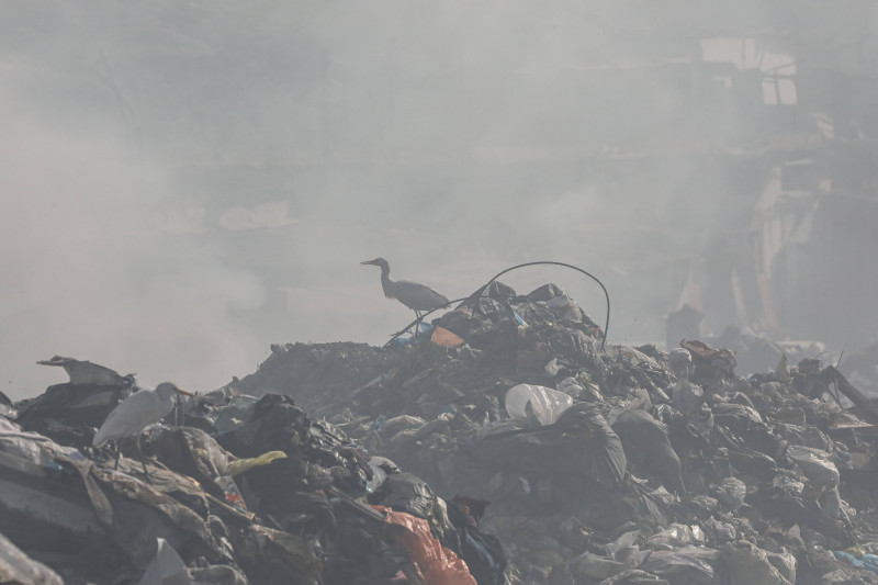 Palfasia gazaestinians searches through a pile of garbage in Gaza City