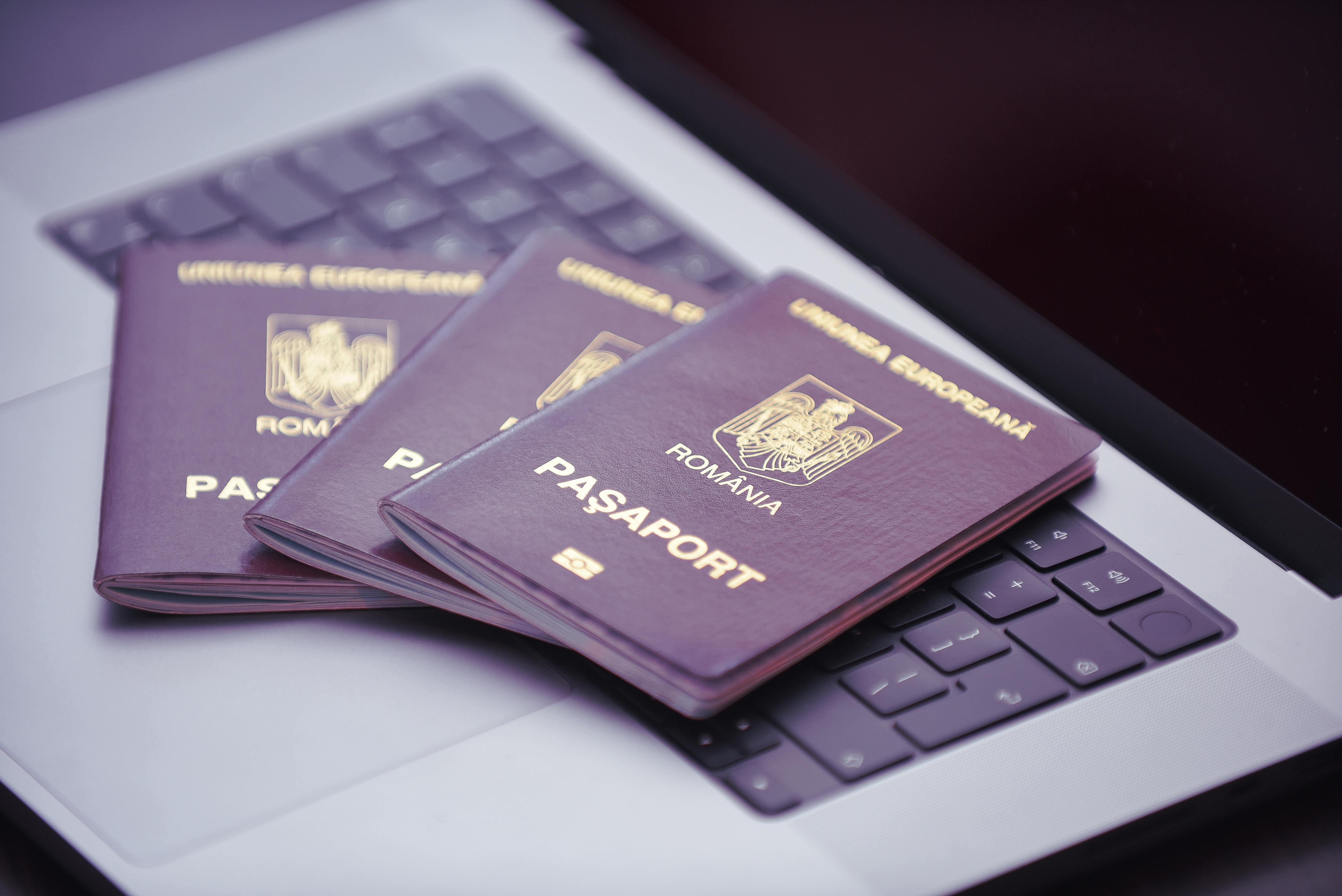 Ce înseamnă și care sunt avantajele unui pașaport biometric. Ce taxă se plătește în 2025 pentru eliberarea documentului