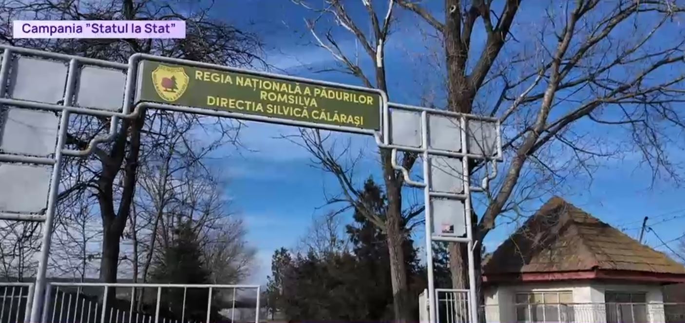 Statul la stat. Directorii Romsilva dau vina pe Ministerul Mediului pentru pierderile financiare. Fechet îi acuză de incompetență