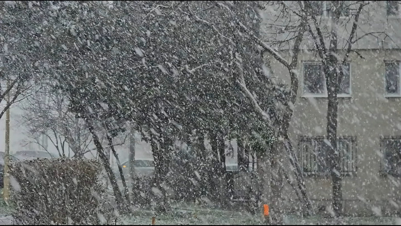 web ninsoare constanta _18__00000