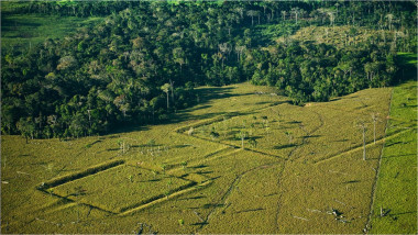 terasamente în Jungla Amazoniană construite acum mii de ani de vechii băștinași