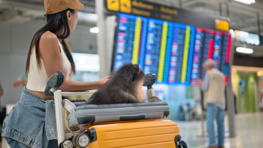 pasager cu caine la aeroport