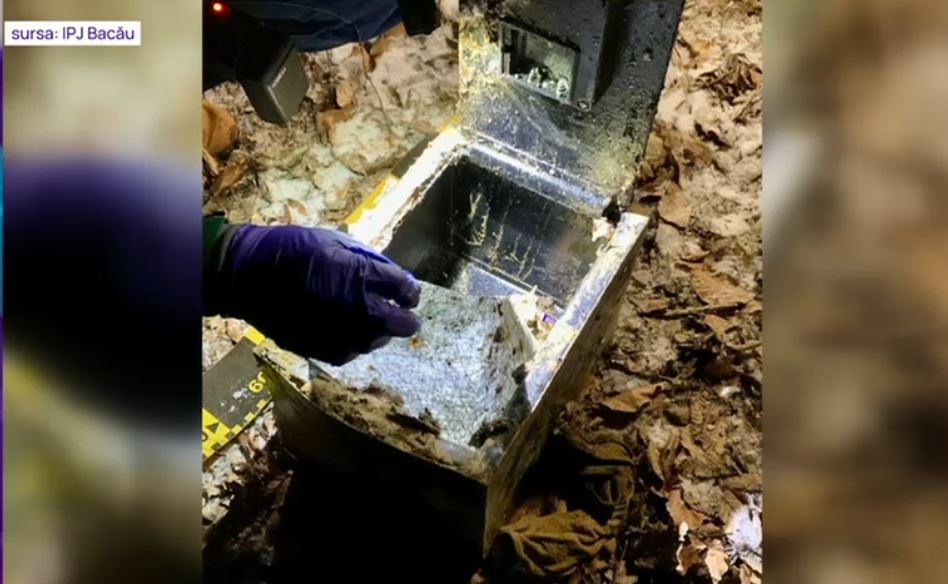 O tânără din Bacău și-a jefuit părinții de 100.000 de euro şi bijuterii. Seiful în care se aflau banii a fost găsit îngropat în pădure