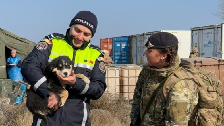 politist cu un catel in brate, alaturi de un militar britanic