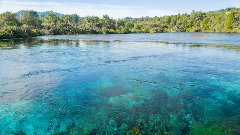 „Cel mai limpede lac din lume” este amenințat de o algă adusă de turiști pe încălțăminte