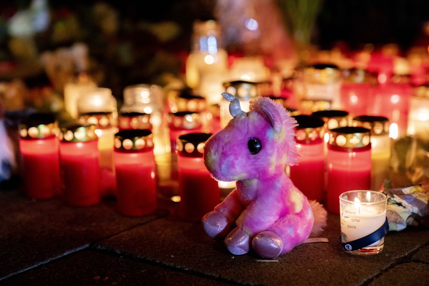 O femeie de 37 de ani și fiica ei de 2 ani au murit în atentatul de la Munchen. „Amel a fost un om care a luptat pentru dreptate”