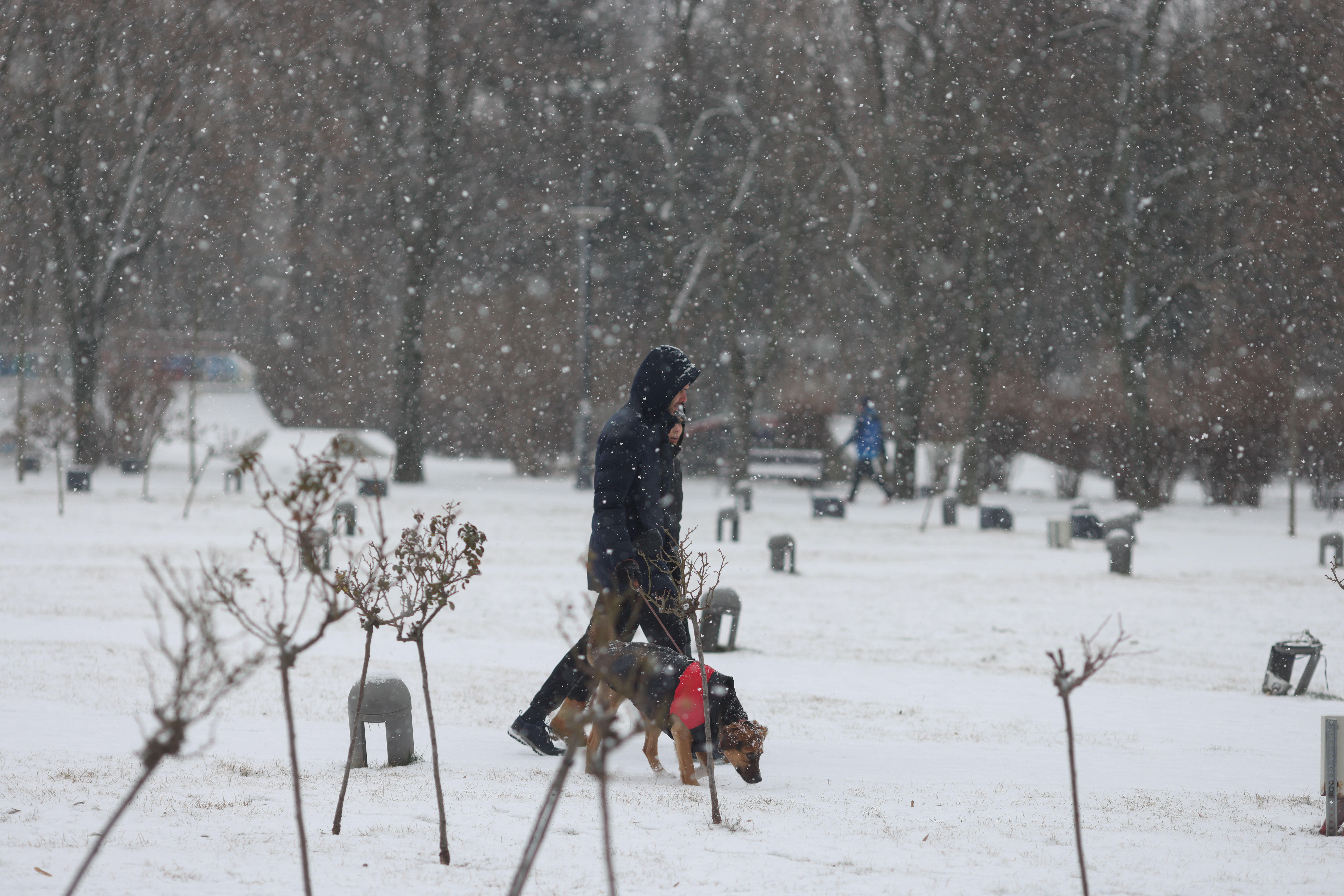 HARTĂ Alte patru judete, sub cod galben de ninsori viscolite. Prognoza meteo a fost actualizată