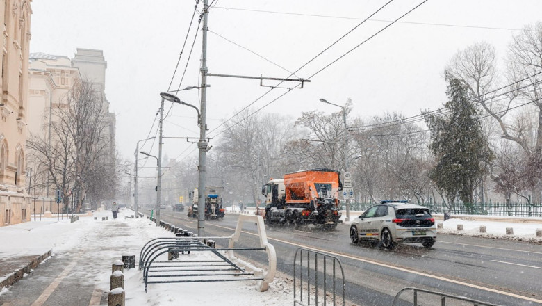 deszapezire bucuresti