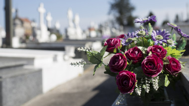 morminte cu flori in cimitir