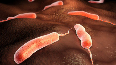 Conceptual image of vibrio cholerae causing cholera.