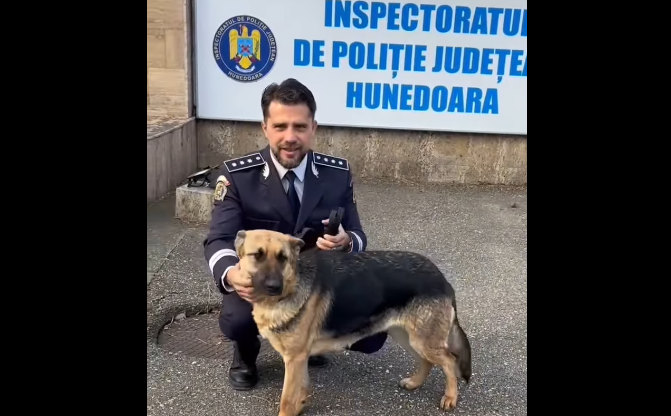 O căţeluşă care a dispărut din Hunedoara în Ajunul Crăciunului, după ce s-a speriat de petarde, a fost găsită după o lună şi jumătate