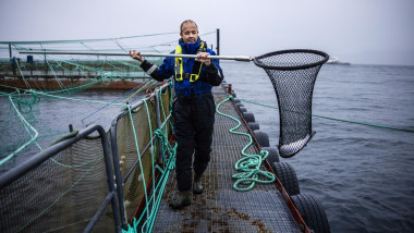 Fish Farming Norway