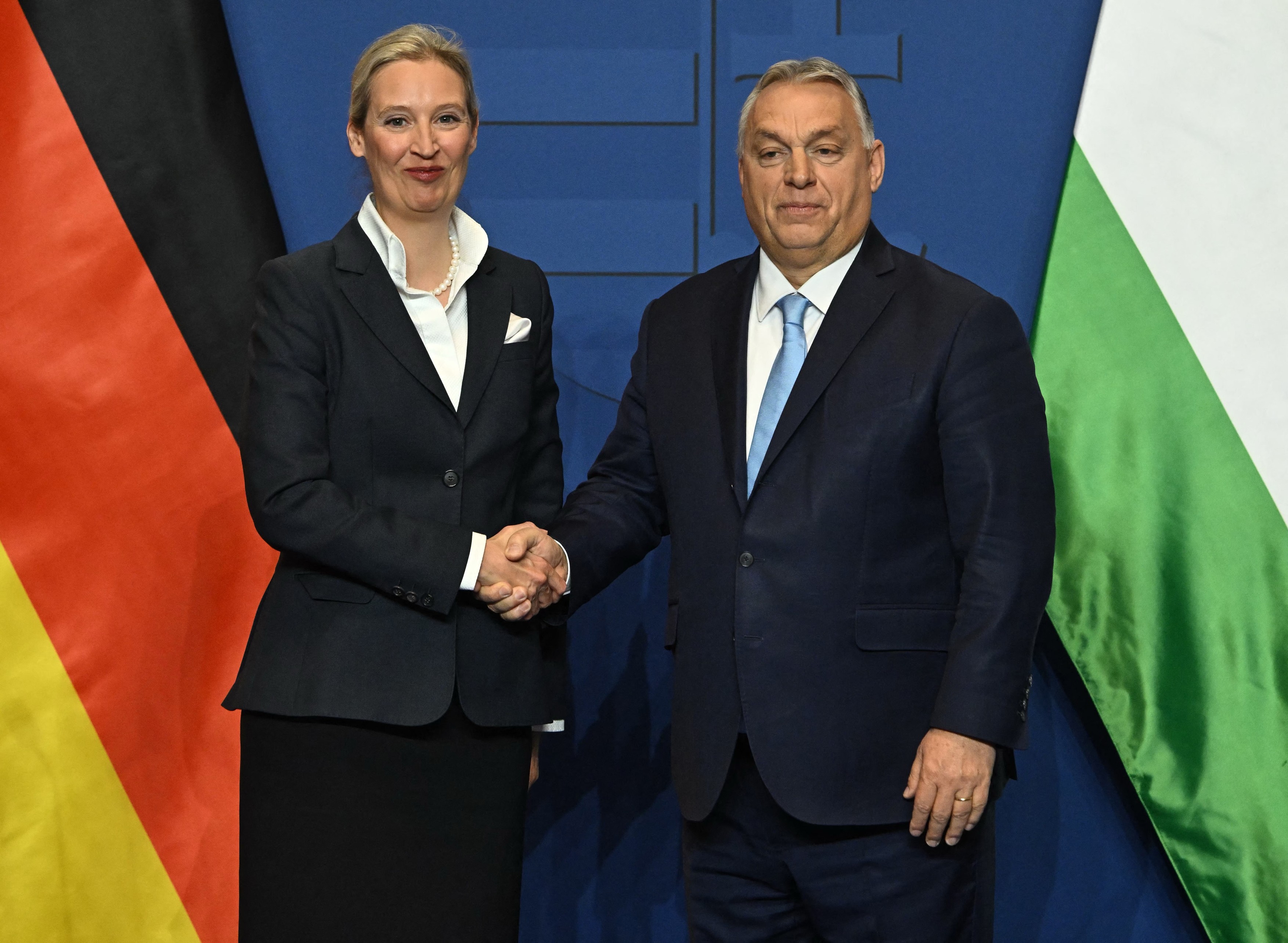 Șefa extremiștilor din Germania îl laudă pe Viktor Orban și numește Ungaria „marele nostru model”
