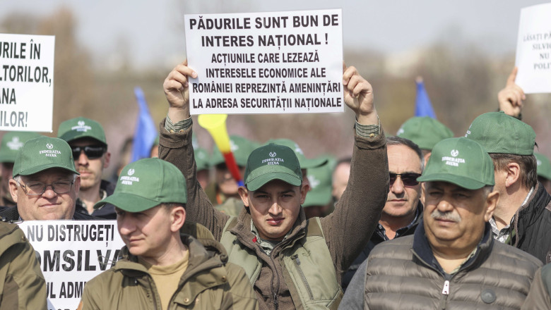 silvicultori protest