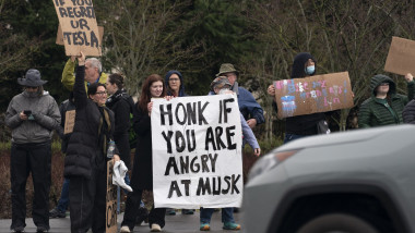 Demonstranți anti-Musk