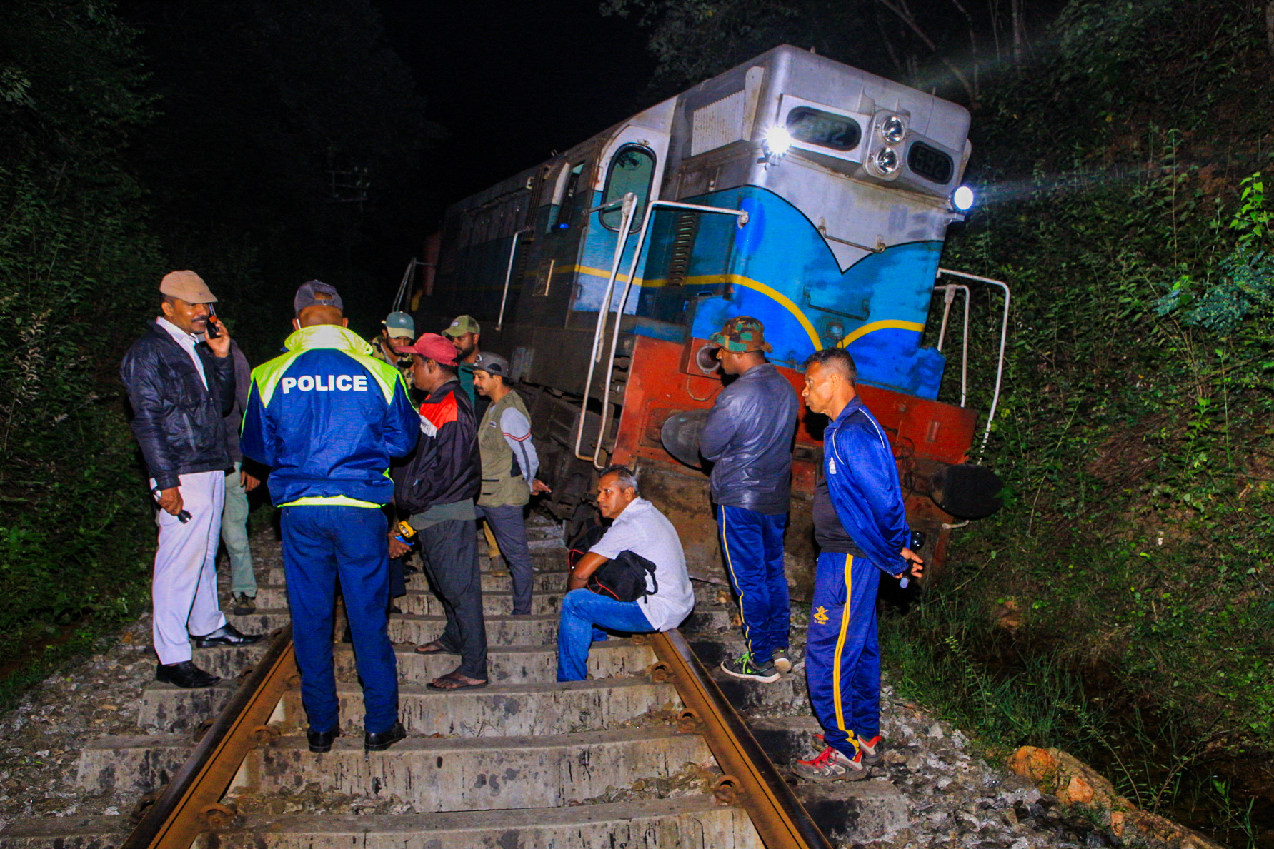 Un tren a lovit o turma de elefanti in Sri Lanka. Sase animale au murit in cea mai grava coliziune de acest tip din tara asiatica