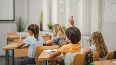 Young,Boy,Student,Raise,His,Hand,To,Answer,A,Question