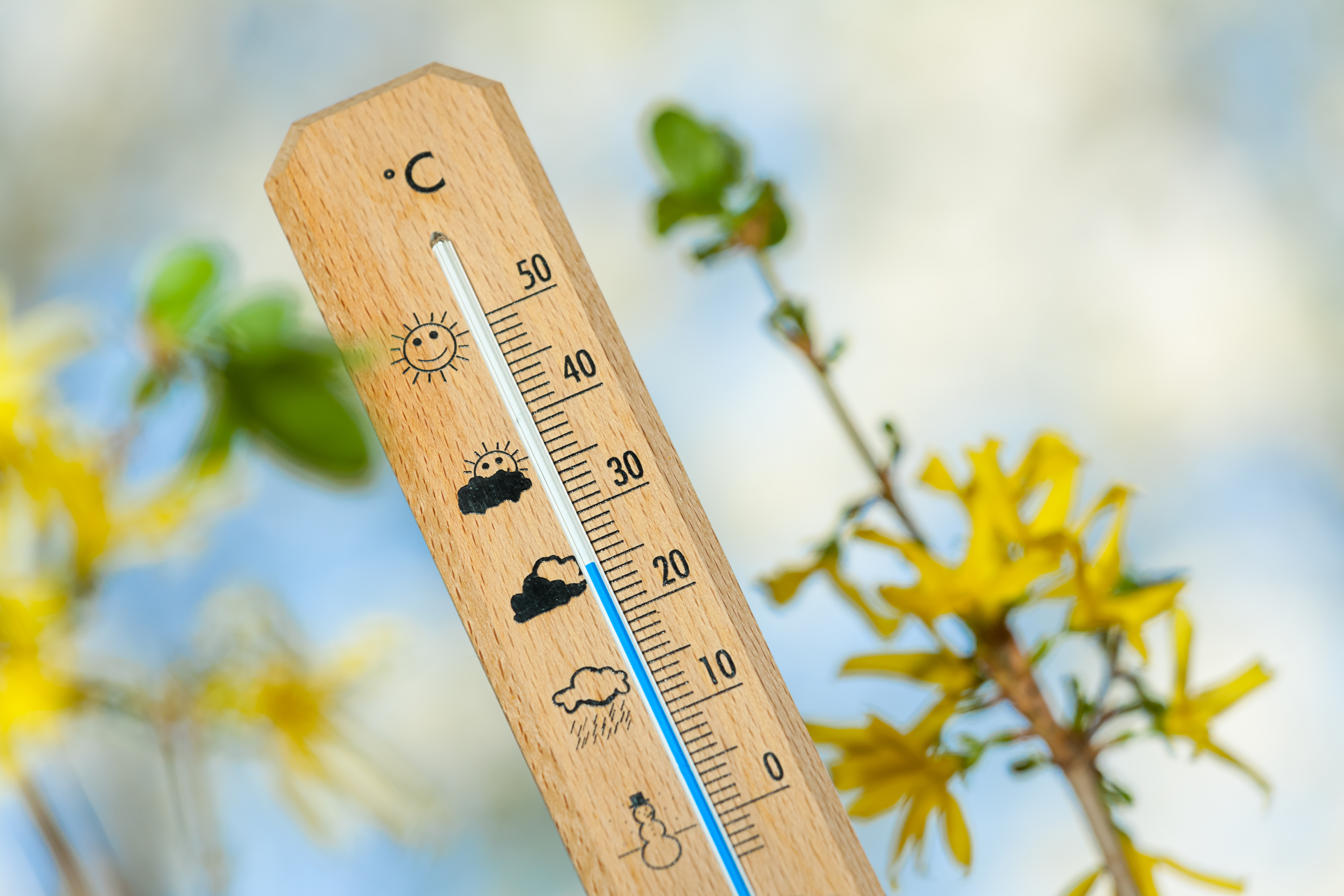 Vremea se încălzeşte treptat în România: temperaturi de până la 25°C până la finalul lunii mai. Când și unde va ploua