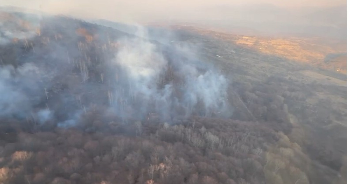 Incendii devastatoare în România: O victimă și răniți în intervenții masive