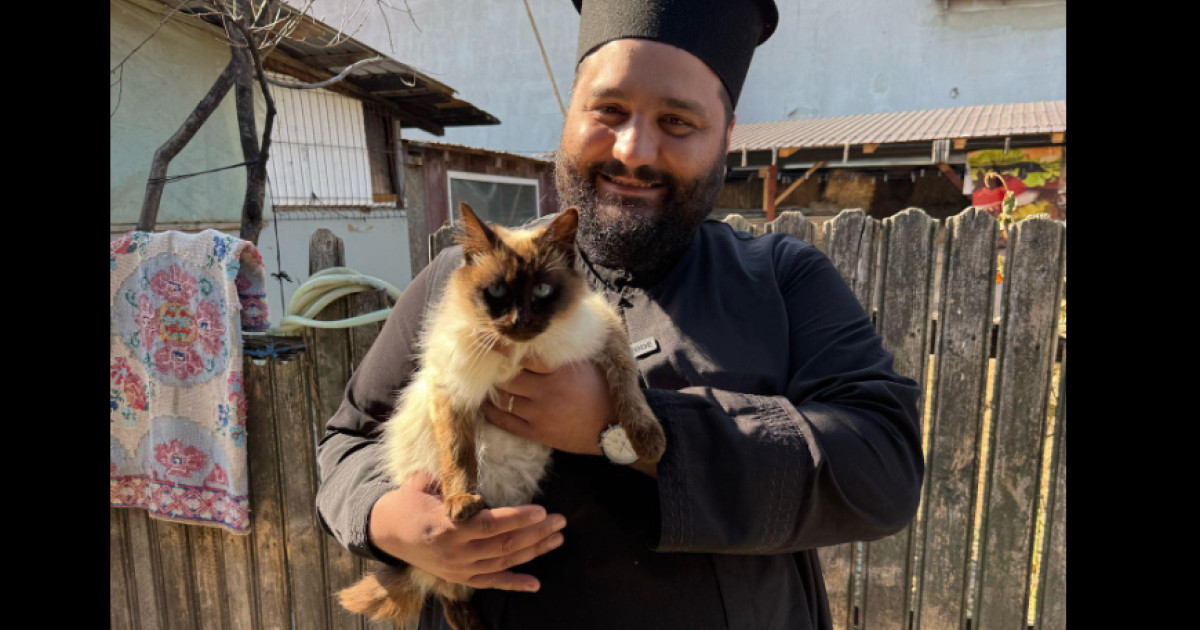 Preot din Ilfov promovează sterilizarea animalelor prin campanii locale