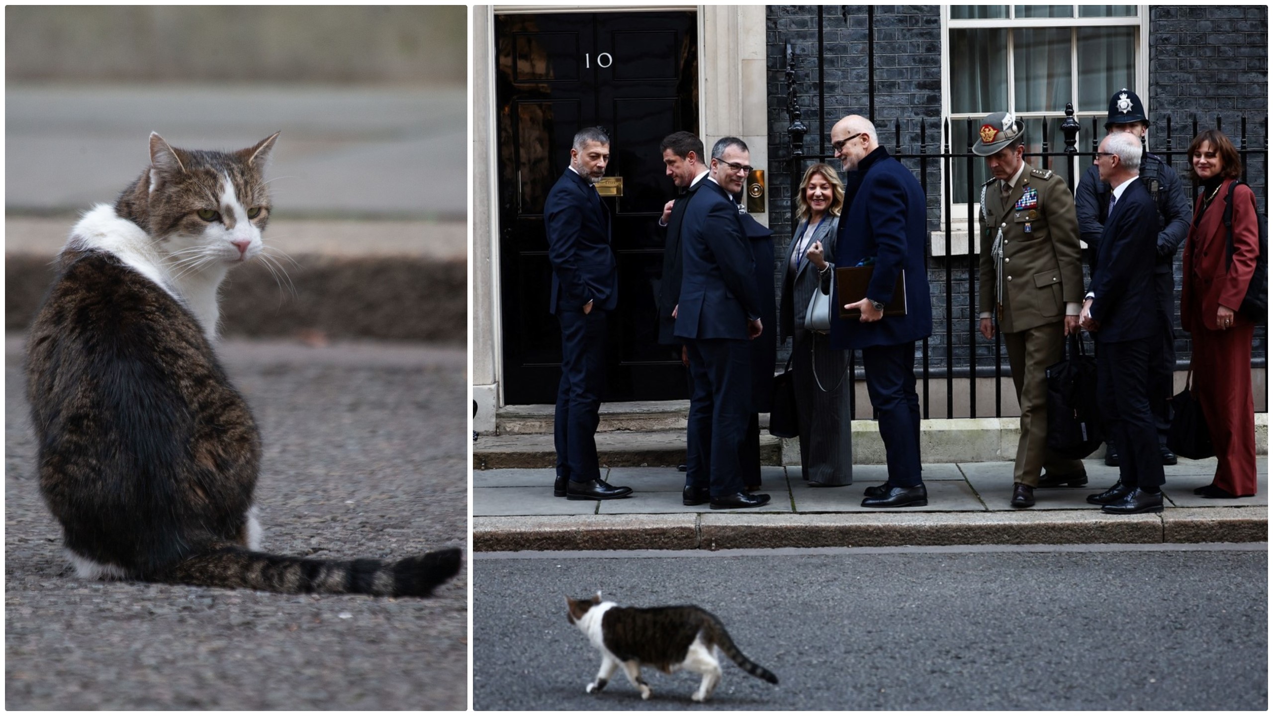 Motanul din Downing Street nu s-a bucurat de oaspeti. Larry nu a fost primit cu delegatii europeni in resedinta lui Keir Starmer