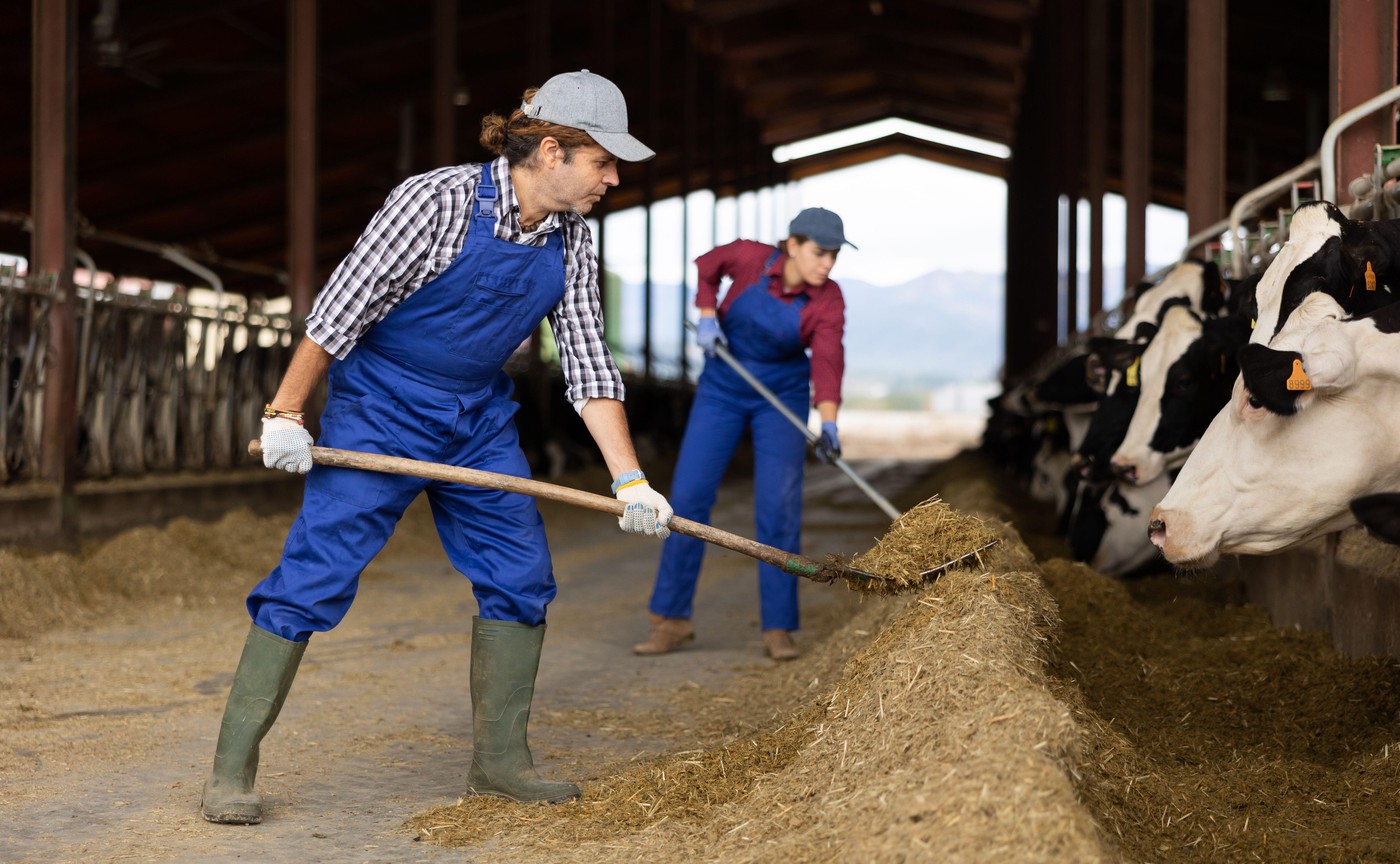 China își pregătește răspunsul la tarifele impuse de Trump. Beijingul ia în vizor importurile de produse agricole și alimentare din SUA