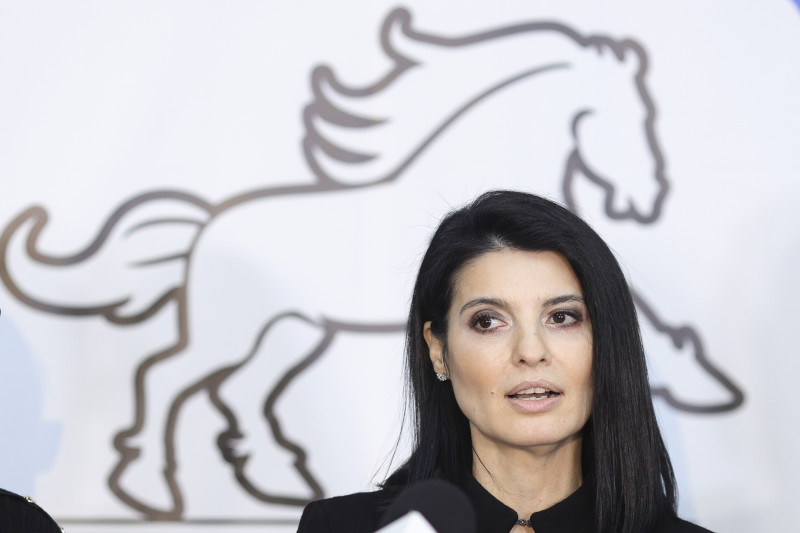 lavinia sandru PUSL alegeri candidatura