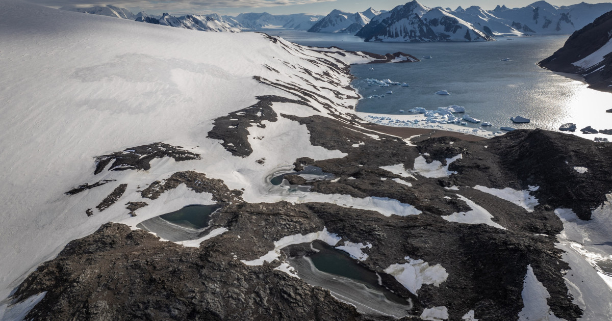 Cercetători din Antarctica cer ajutor în fața amenințărilor colegului
