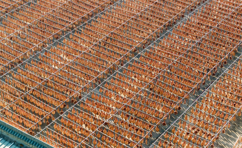 JINHUA, CHINA - DECEMBER 22: Hams hang to dry at Jinhua Jinnian Ham Co., Ltd on December 22, 2023 in Jinhua, Zhejiang Pr