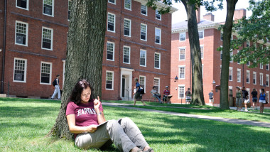 student harvard