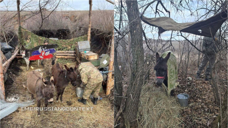 măgari-război-ucraina-armata-rusă (1)