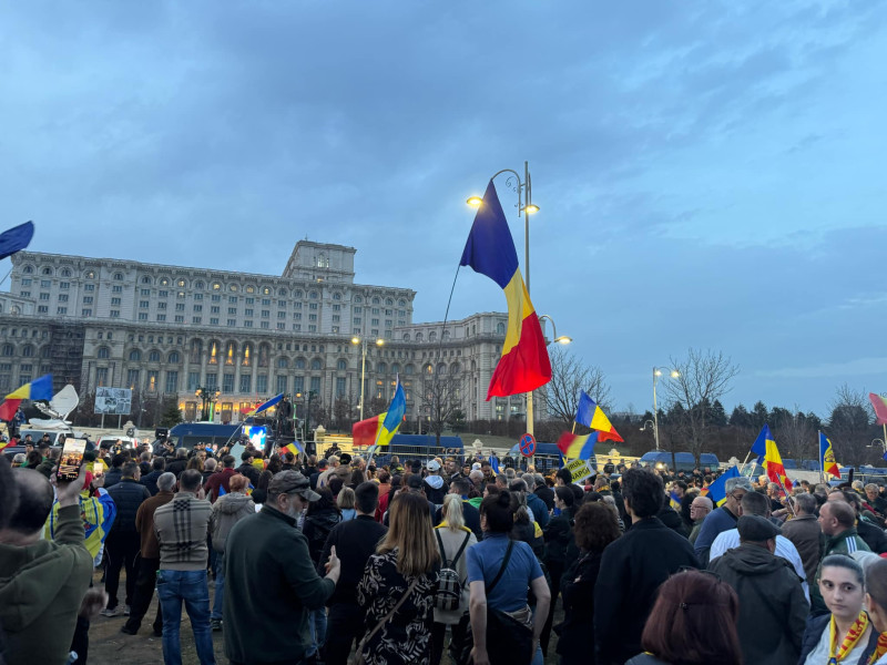 protest ccr 11 martie (4)