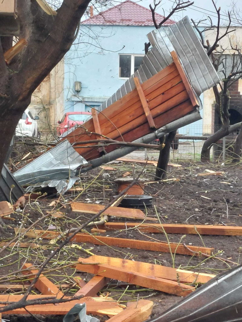 poza copaci cazuti sursa isu teleorman 130325 (7)