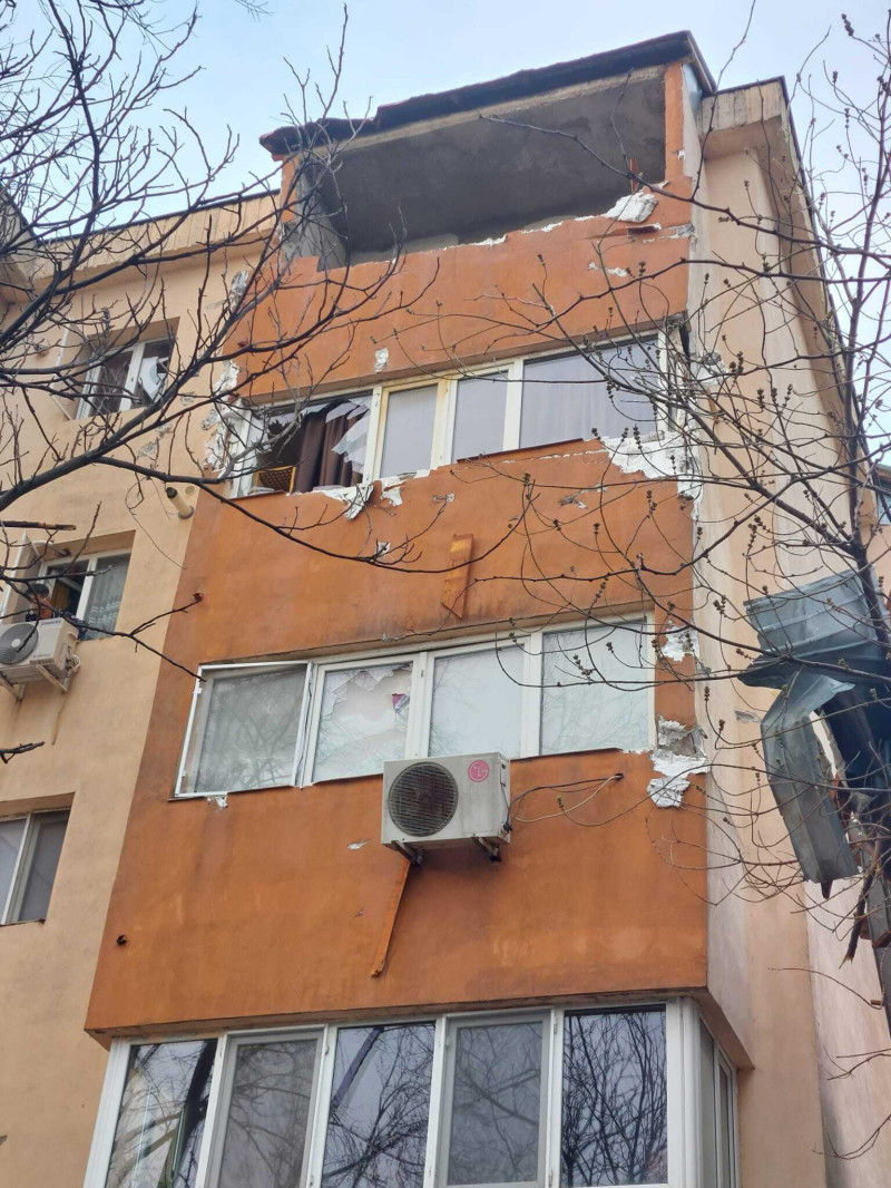 poza copaci cazuti sursa isu teleorman 130325 (8)