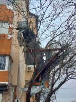 poza copaci cazuti sursa isu teleorman 130325 (9)