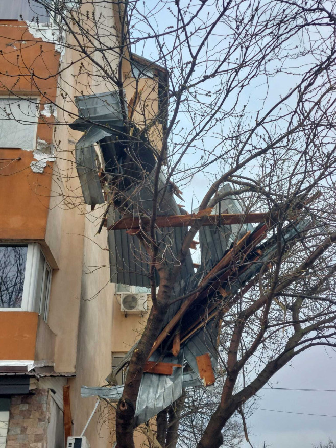 poza copaci cazuti sursa isu teleorman 130325 (9)