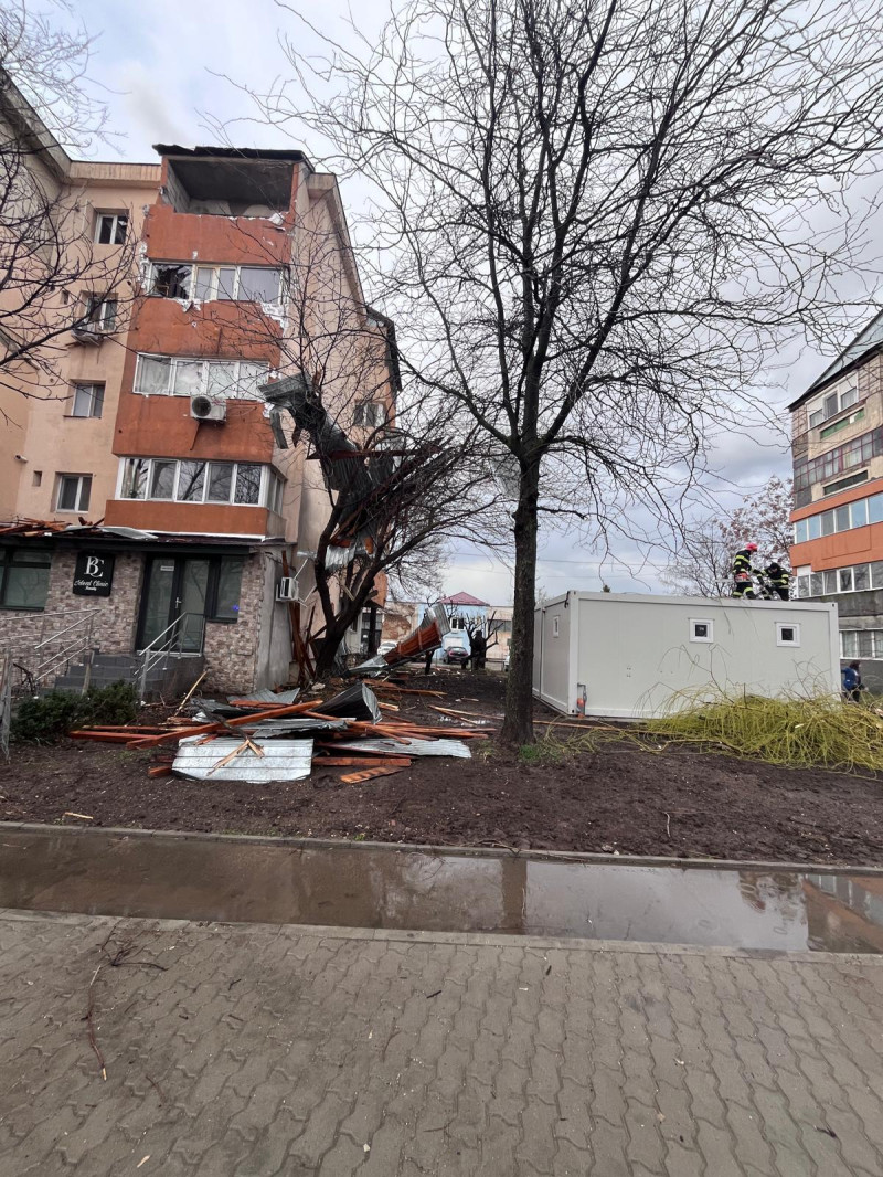 poza copaci cazuti sursa isu teleorman 130325 (2)