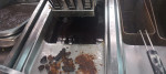 WhatsApp Image 2025-03-13 at 16.55.23