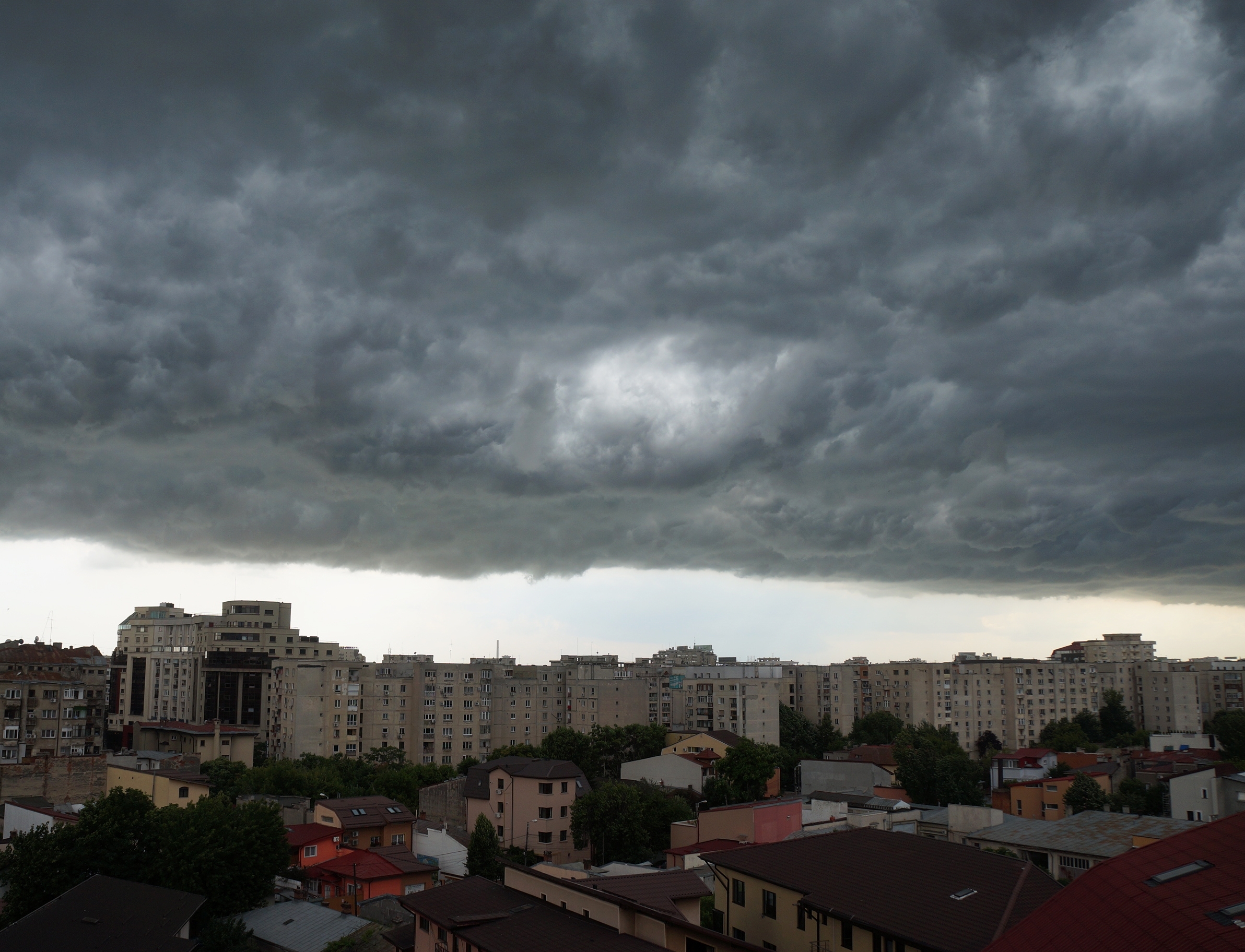 Cod galben de vijelii în București. Până când e valabilă avertizarea