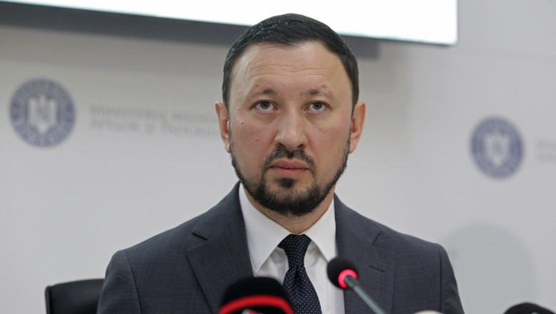 mircea fechet