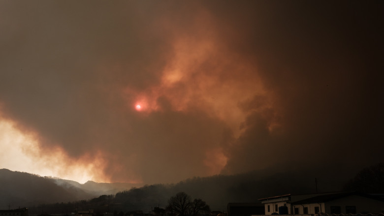 incendii coreea de sud