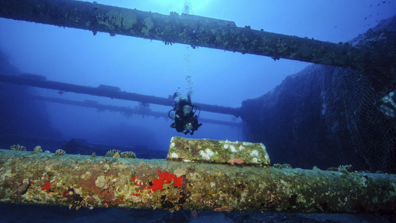 Cabluri submarine