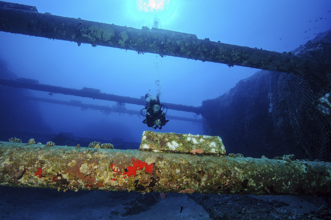 China a dezvoltat un robot capabil să taie cabluri submarine. „E eficient împotriva cablurilor blindate, până la 4.000m adâncime”