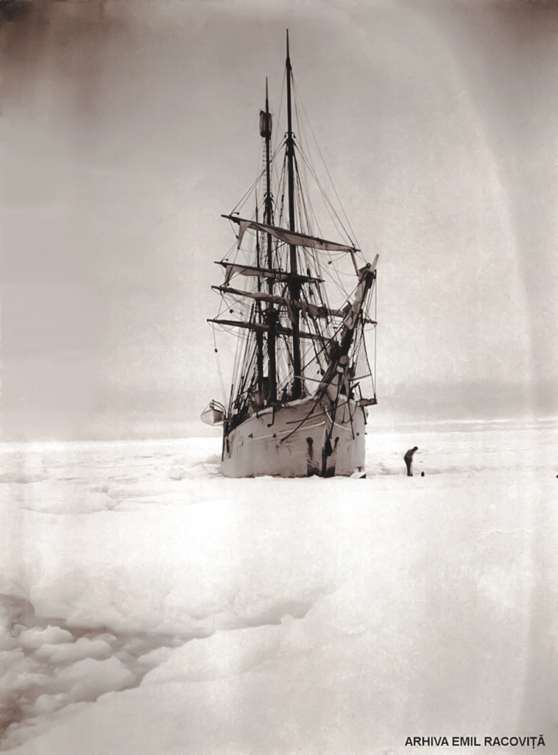 1-1-Antarctica---26