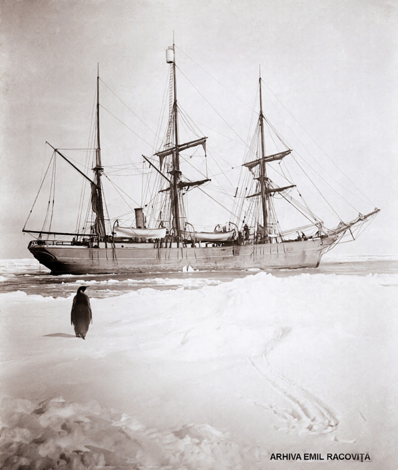 2-2-Antarctica---23
